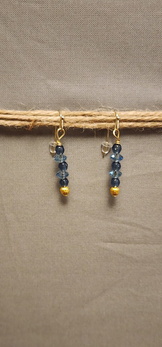 DK Brand Earrings - Design #20